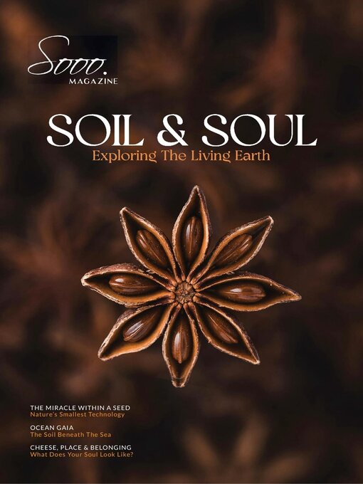 Cover image for Sooo. Magazine